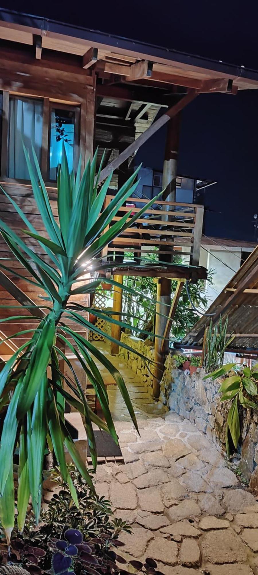 Tree House Lodge ماتْشّوبيكتْشو المظهر الخارجي الصورة
